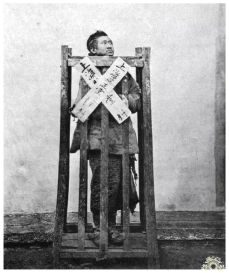 7525-iumkapw4350826.JPG.